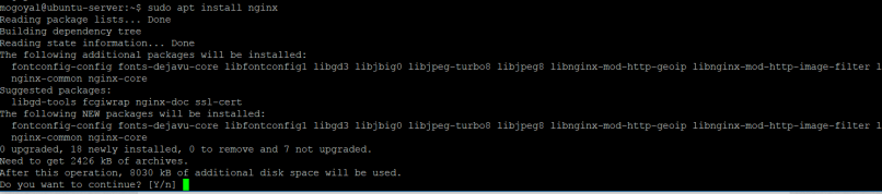 Installing nginx on ubuntu server