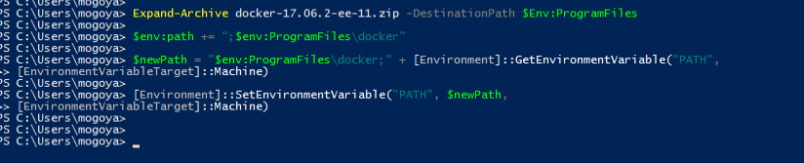 Unpack archive and add docker binaries to environment variables